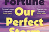 Our Perfect Storm by Carley Fortune