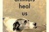 How Animals Heal Us by Jay Griffiths