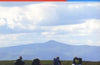 Brecon Beacons National Park / Parc Cenedlaethol Bannau Brycheiniog - Eastern Area / Ardal Ddwyreiniol : OL 13