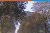Crawley & Horsham, Cranleigh & Billingshurst: OL 34