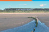 Llanelli and Ammanford/Rhydaman: 178