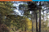 Northwich and Delamere Forest: 267