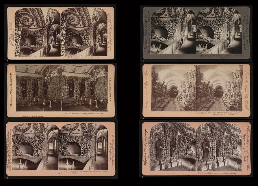 Graveyards: A History of Living with the Dead by Roger Luckhurst