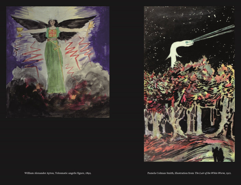 The Hermetic Order of the Golden Dawn: Magic Arts and the Occult Revival by Felix John Taylor