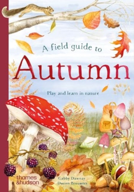 A Field Guide to Autumn: Play and learn in nature by Gabby Dawnay