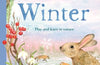 A Field Guide to Winter: Play and learn in nature by Gabby Dawnay
