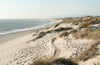 Portugal: The Monocle Handbook: Your guide to the best hotels, restaurants, beaches and design
