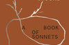 Scanty Plot of Ground: A Book of Sonnets by Paul Muldoon