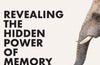 Why We Remember: Revealing the Hidden Power of Memory by Dr Charan Ranganath