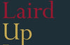 Up Late by Nick Laird