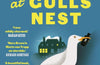 Murder at Gulls Nest: Nora Breen Investigates by Jess Kidd