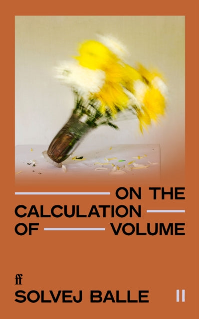 On the Calculation of Volume II by Solvej Balle