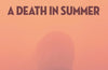 A Death in Summer by John Banville