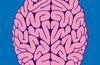 Neuropedia: A Brief Compendium of Brain Phenomena by Eric H. Chudler