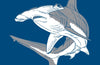 Sharkpedia : A Brief Compendium of Shark Lore by Daniel Abel