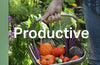 The Productive Garden: An essential guide towards self-sufficiency by Stephanie Hafferty