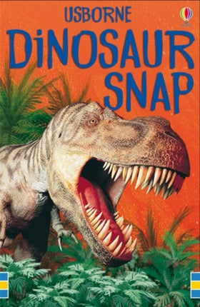 Collection image for: Usborne Snap Cards