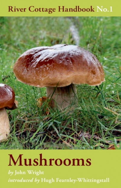 Mushrooms: No. 1 by John Wright