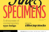 Fine Specimens: A Showcase of Contemporary Type Design by Elliot Jay Stocks