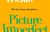 Picture Imperfect by Jacqueline Wilson (PRE-ORDER)