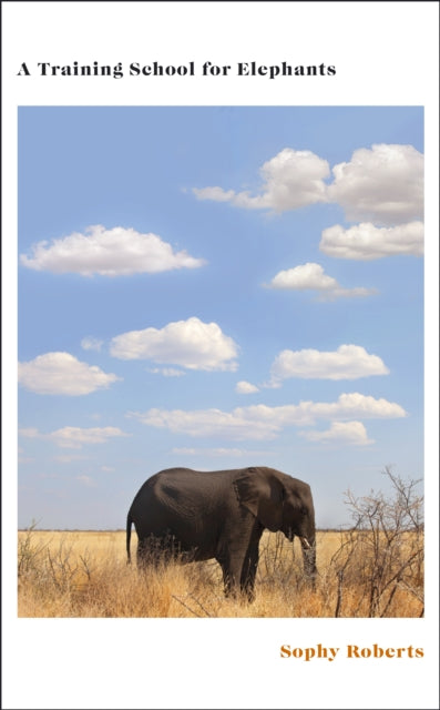 A Training School for Elephants by Sophy Roberts (SIGNED)