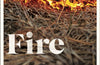 Fire by John Boyne