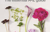 Buying & Arranging Cut Flowers - The Essential A-Z Guide by Judith Blacklock