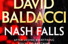 Nash Falls by David Baldacci