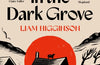 The Hill in the Dark Grove by Liam Higginson