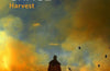 Harvest by Jim Crace