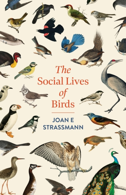 The Social Lives of Birds by Joan E. Strassmann