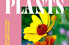 Tough Plants: Garden gladiators that pack a punch in extreme weather by Val Bourne