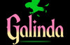 Galinda by Gregory Maguire (SIGNED PRE-ORDER)