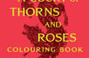 A Court of Thorns and Roses Colouring Book by Sarah J. Maas