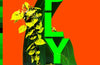 Ply by Hernan Diaz (SIGNED PRE-ORDER)