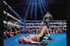 The Last Bell: Life, Death and Boxing by Donald McRae (SIGNED)