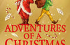Adventures of a Christmas Elf by Ben Miller