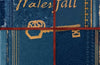 The Waterfall: A beguiling and intricate mystery by Gareth Rubin