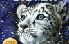 Goodnight Silver by Abi Elphinstone