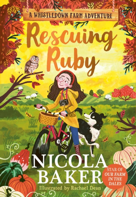 Rescuing Ruby: Volume 2 by Nicola Baker