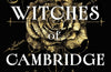 The Witches of Cambridge by Alice Hoffman