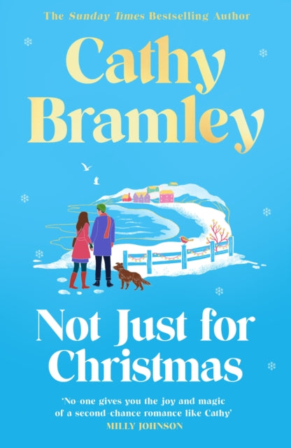 Not Just for Christmas by Cathy Bramley
