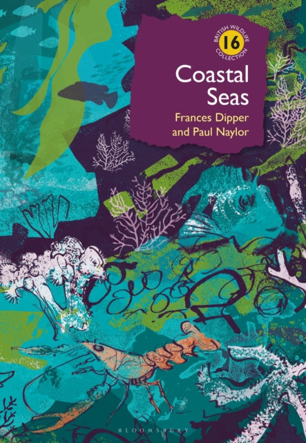 Coastal Seas by Dr Frances Dipper & Dr Paul Naylor