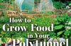 How to Grow Food in Your Polytunnel by Mark Gatter & Andy McKee