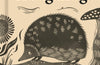 RSPB Pocket Book of Hedgehogs