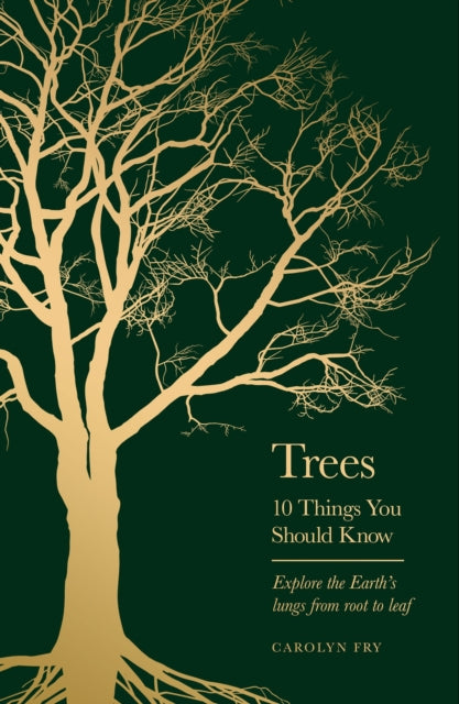 Trees - 10 Things You Should Know: The perfect stocking filler for Christmas by Carolyn Fry