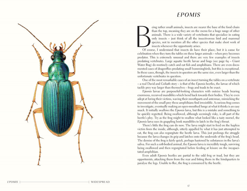 The Wonder of Insects: Uncovering their Hidden World: Fully Illustrated with 70 Stunning Species by Ross Piper