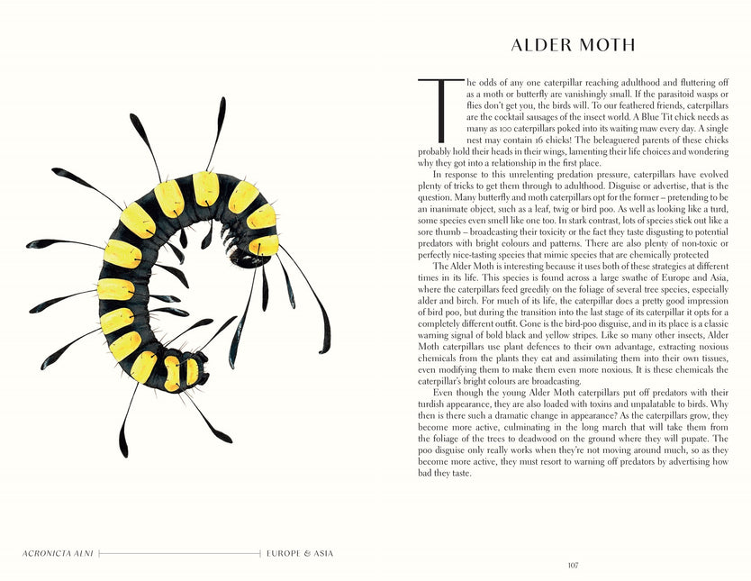 The Wonder of Insects: Uncovering their Hidden World: Fully Illustrated with 70 Stunning Species by Ross Piper