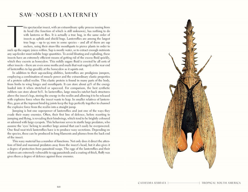 The Wonder of Insects: Uncovering their Hidden World: Fully Illustrated with 70 Stunning Species by Ross Piper