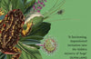 Peatlands: A Journey Between Land and Water by Alys Fowler